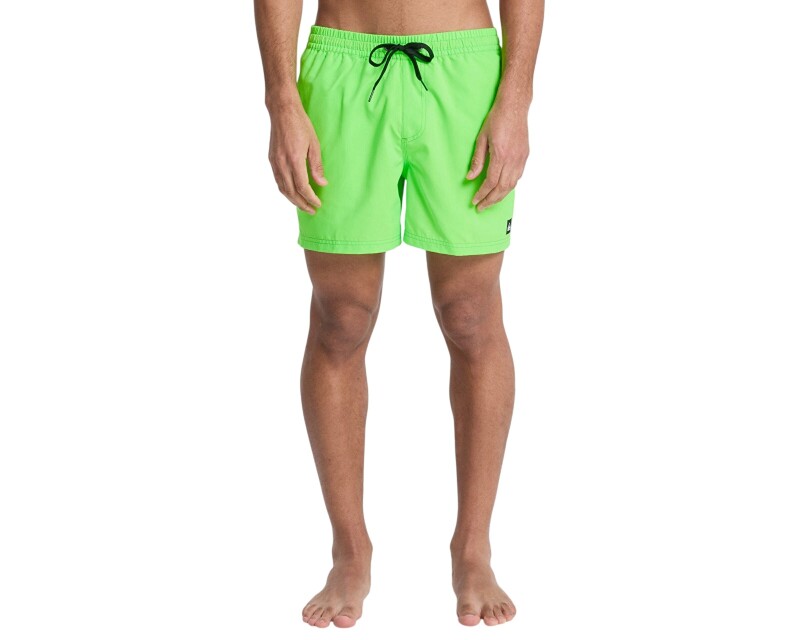 Quiksilver Everyday 15 Yeşil Erkek Mayo - Quiksilver