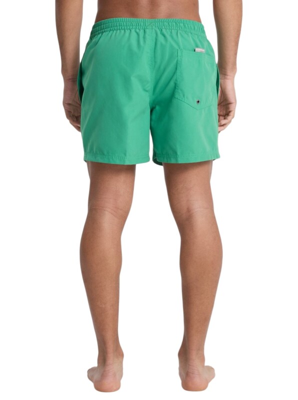 Quiksilver Everyday 15 Yeşil Erkek Mayo - 3