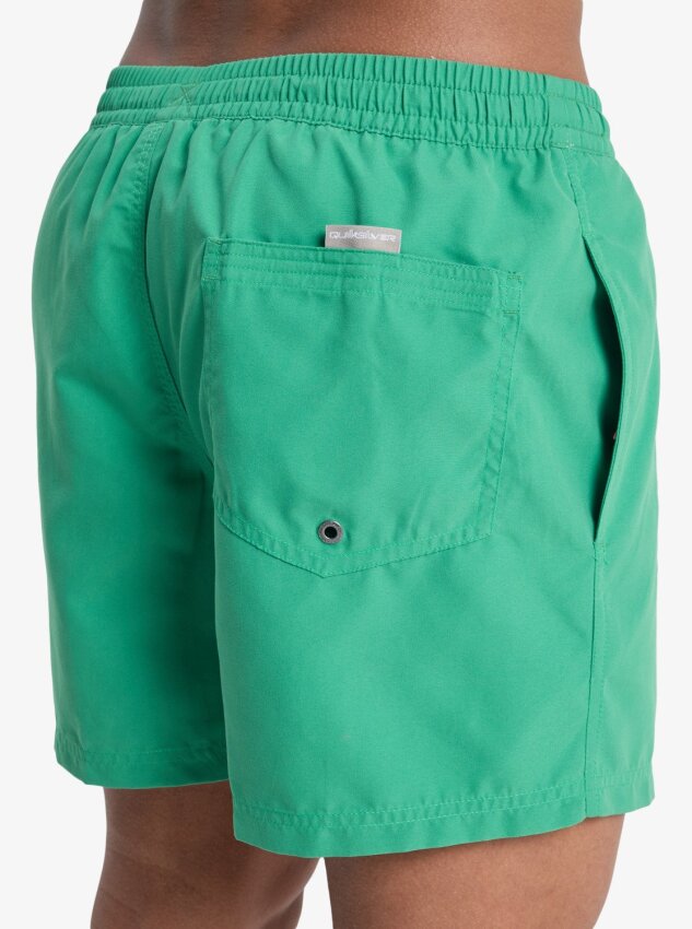 Quiksilver Everyday 15 Yeşil Erkek Mayo - 5