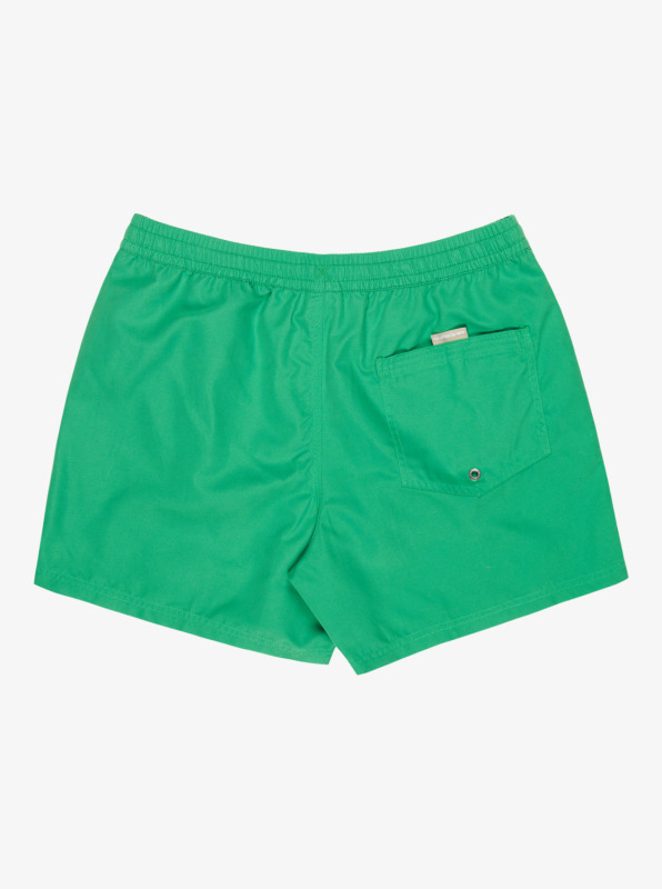 Quiksilver Everyday 15 Yeşil Erkek Mayo - 8