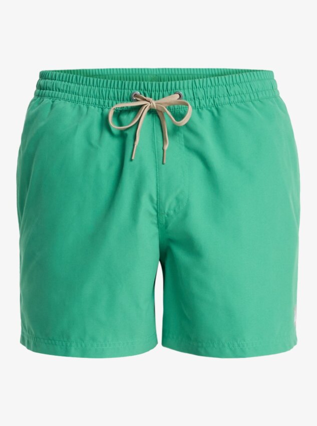 Quiksilver Everyday 15 Yeşil Erkek Mayo - 9