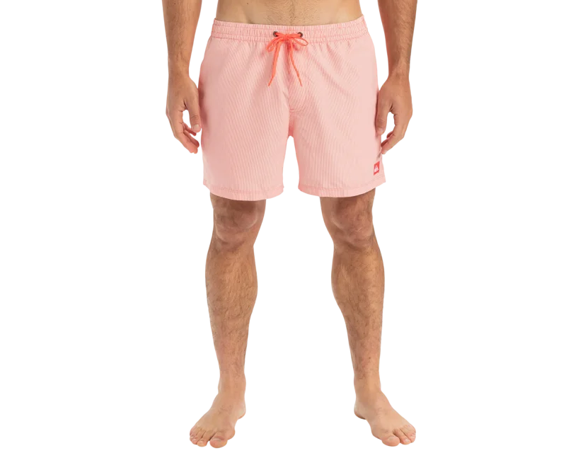 Quiksilver Everyday Deluxe Volley 15 Erkek Mayo - 1