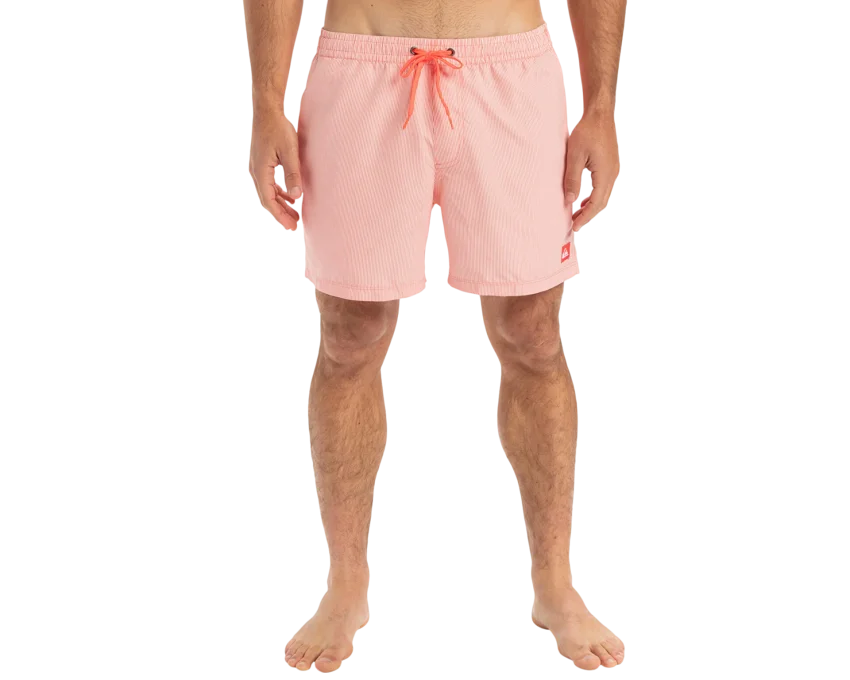 Quiksilver Everyday Deluxe Volley 15 Erkek Mayo - 1