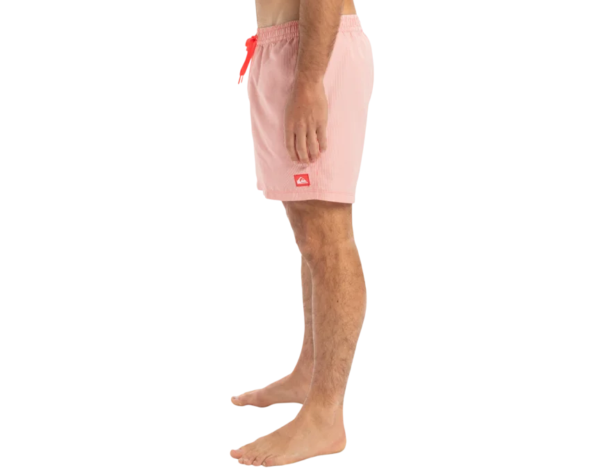 Quiksilver Everyday Deluxe Volley 15 Erkek Mayo - 2