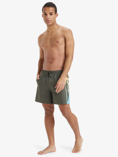 Quiksilver Everyday Holmes Volley 16 Erkek Mayo - 5
