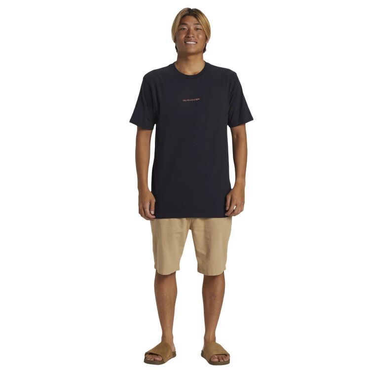 Quiksilver EVERYDAY UNION LIGHT Kahverengi Erkek Şort - 4