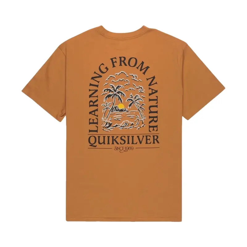 Quiksilver Evo Learning FR Kahverengi Erkek Tshirt - 7