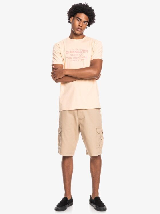 Quiksilver FEEDING LINE SS Pembe Erkek Tshirt EQYZT06659-NEW0 - 3