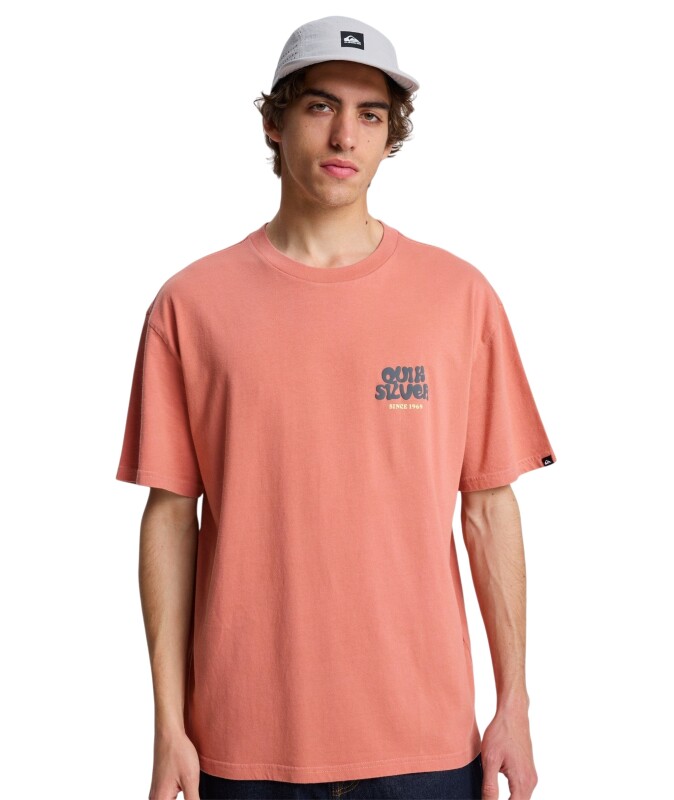 Quiksilver Fruits Tide Pembe Erkek Tshirt - 1