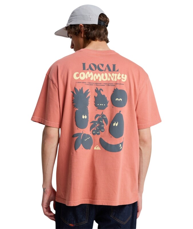 Quiksilver Fruits Tide Pembe Erkek Tshirt - 2