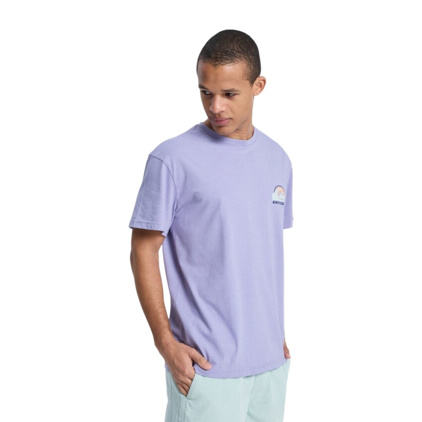 Quiksilver Hellbender Mor Erkek Tshirt - 2