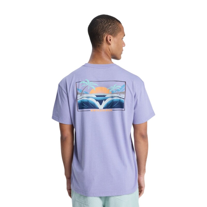 Quiksilver Hellbender Mor Erkek Tshirt - 3