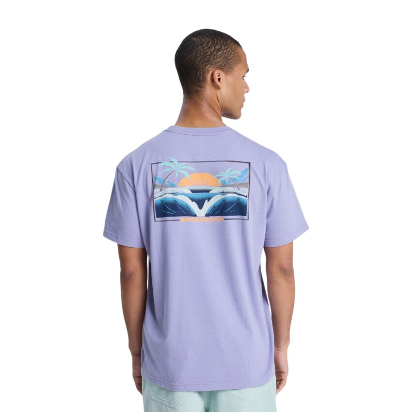 Quiksilver Hellbender Mor Erkek Tshirt - 3