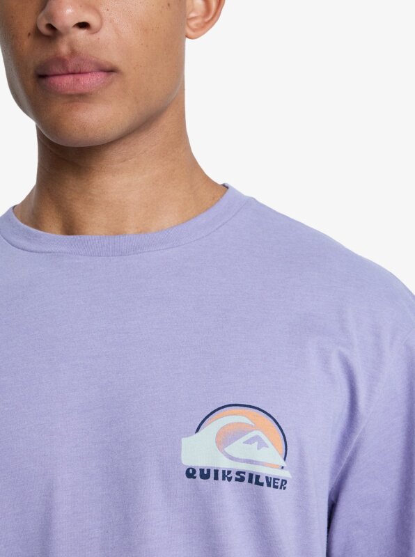 Quiksilver Hellbender Mor Erkek Tshirt - 4