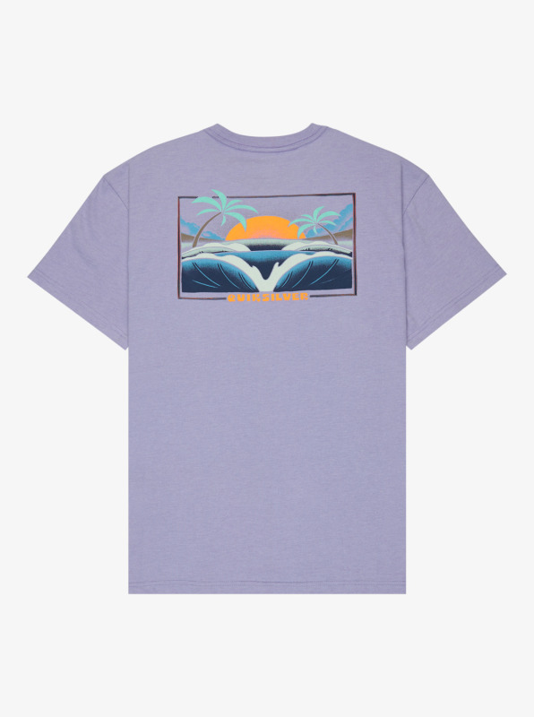 Quiksilver Hellbender Mor Erkek Tshirt - 5