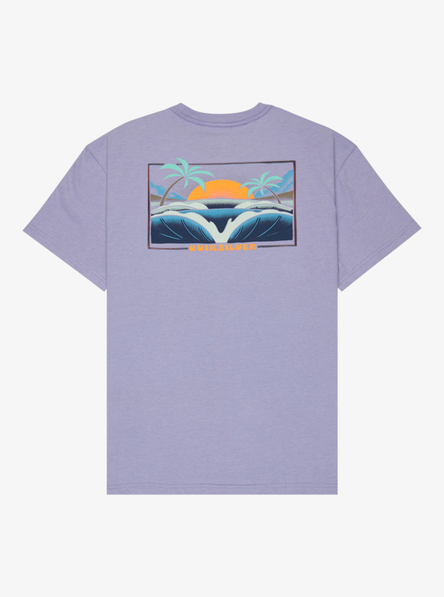Quiksilver Hellbender Mor Erkek Tshirt - 5