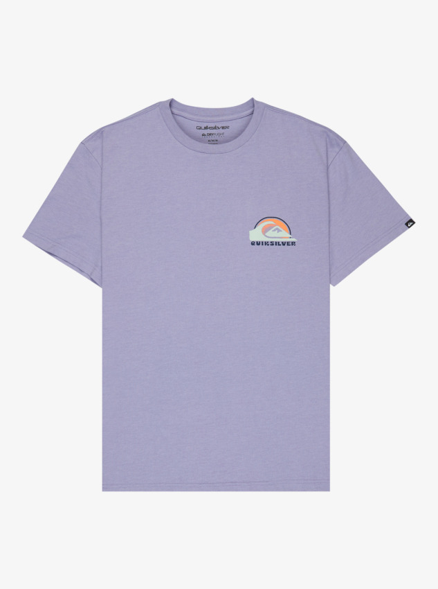 Quiksilver Hellbender Mor Erkek Tshirt - 6