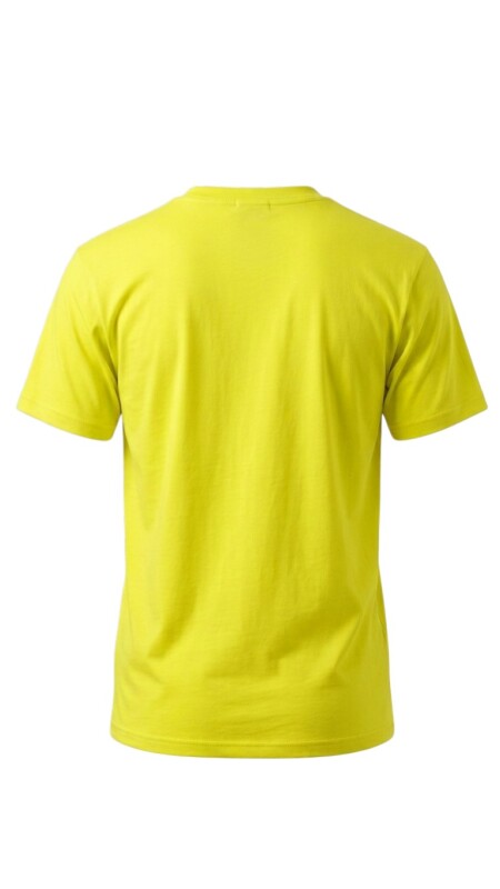 Quiksilver Malibu Sarı Erkek Tshirt - 2