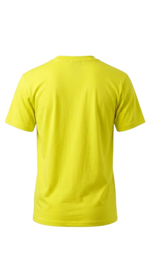Quiksilver Malibu Sarı Erkek Tshirt - 2