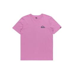 Quiksilver MW MINI LOGO SS Mor Erkek Tshirt - 1