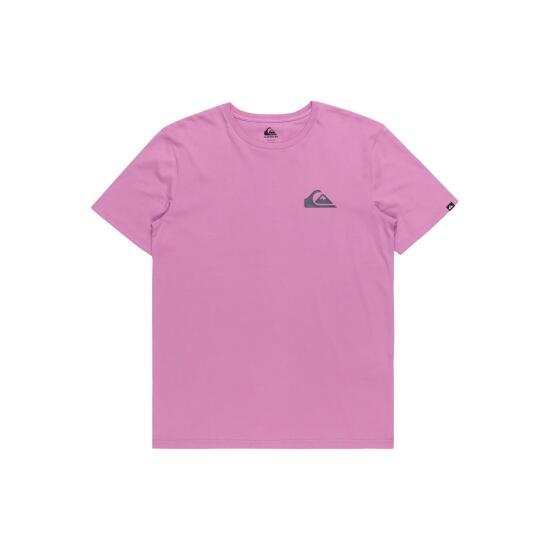 Quiksilver MW MINI LOGO SS Mor Erkek Tshirt - 1