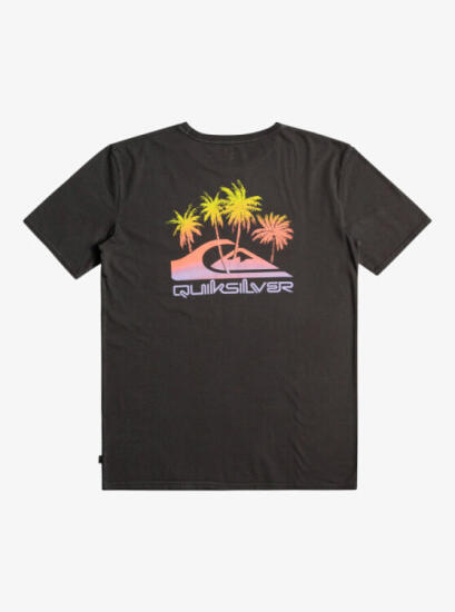 Quiksilver PASTIMEPARADISE M TEES SİYAH Erkek Tshirt - 1