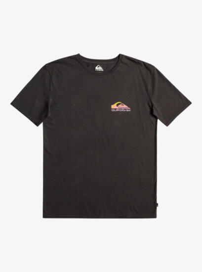 Quiksilver PASTIMEPARADISE M TEES SİYAH Erkek Tshirt - 2