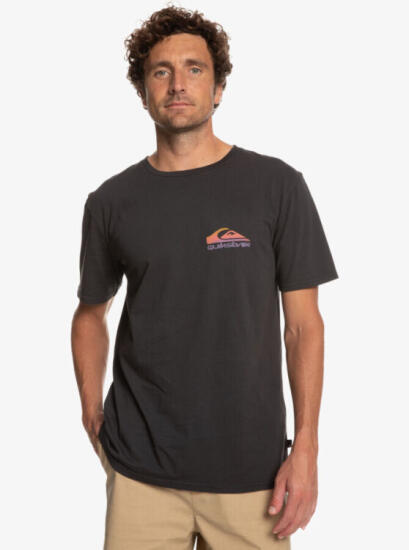 Quiksilver PASTIMEPARADISE M TEES SİYAH Erkek Tshirt - 4