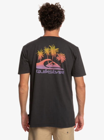 Quiksilver PASTIMEPARADISE M TEES SİYAH Erkek Tshirt - 8