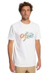 Quiksilver SIGNATUREMOVE M TEES BEYAZ Erkek Tshirt - 1