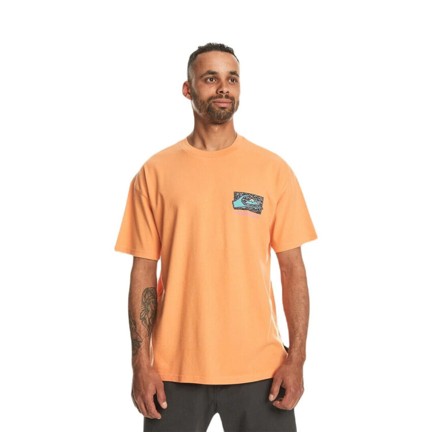 Quiksilver SPIN CYCLE SS Turuncu Erkek Tshirt - 3