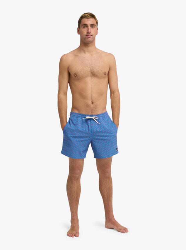 Quiksilver Strech Printed Mavi Erkek Mayo - 5