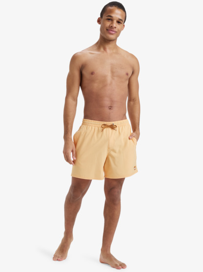 Quiksilver Surfsilk Solid Volley 16 Erkek Mayo - 5