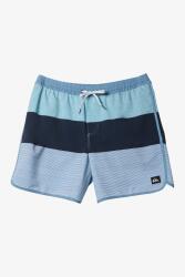 Quiksilver SURFSILK TIJUANA VOLLEY 16 LACİVERT Erkek Mayo - 5