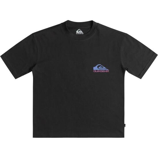 Quiksilver TAKE US BACK LOGO SS SİYAH Erkek Tshirt - 1