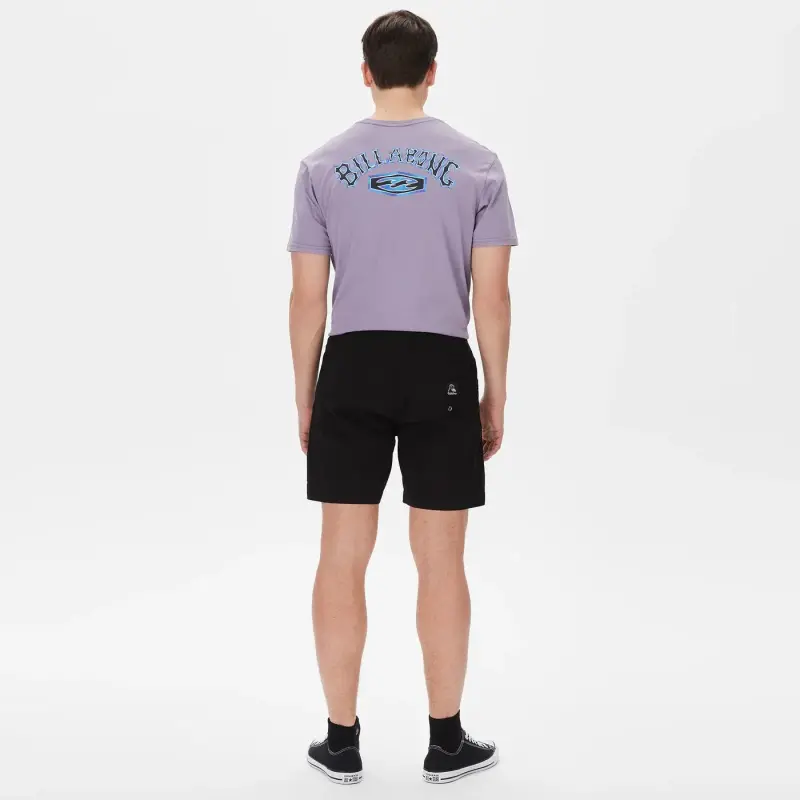 Quiksilver TAXERWS M WKST Antrasit Erkek Şort - 2