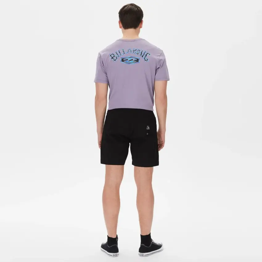 Quiksilver TAXERWS M WKST Antrasit Erkek Şort - 2