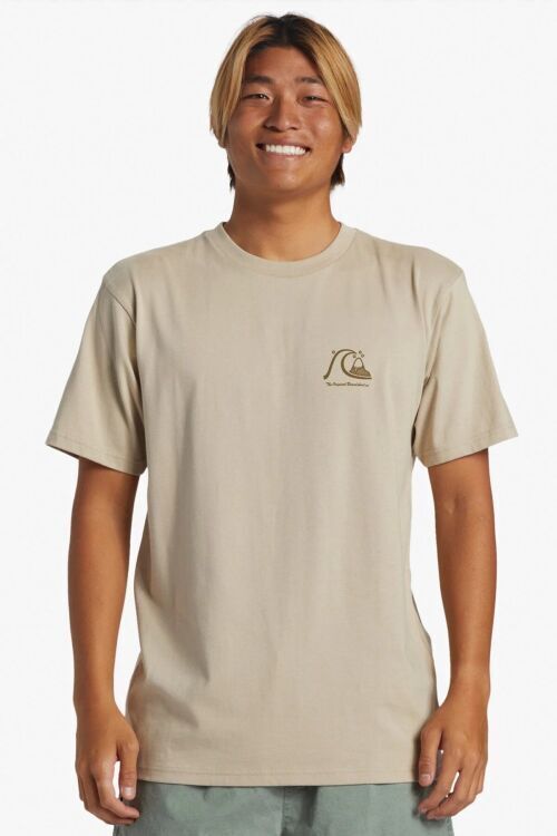 Quiksilver THE ORIGINAL BOARDSHORT MOR Bej Erkek Tshirt - Quiksilver