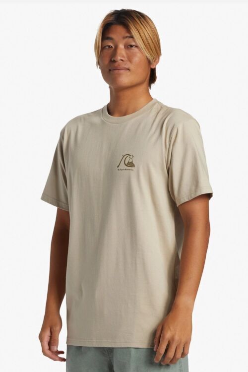 Quiksilver THE ORIGINAL BOARDSHORT MOR Bej Erkek Tshirt - Quiksilver (1)