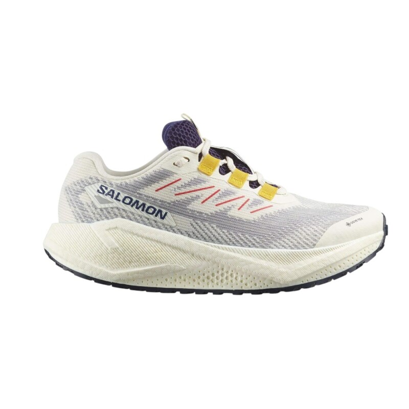 Salomon Aero Blaze 3 Gri Kadın Koşu Ayakkabısı - 1