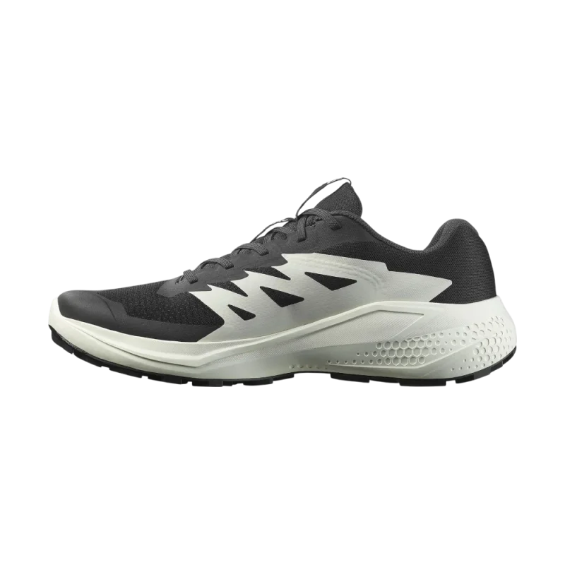 Salomon Alphaglide Erkek Koşu Ayakkabısı - 2