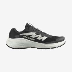 Salomon Alphaglide Erkek Koşu Ayakkabısı - 1