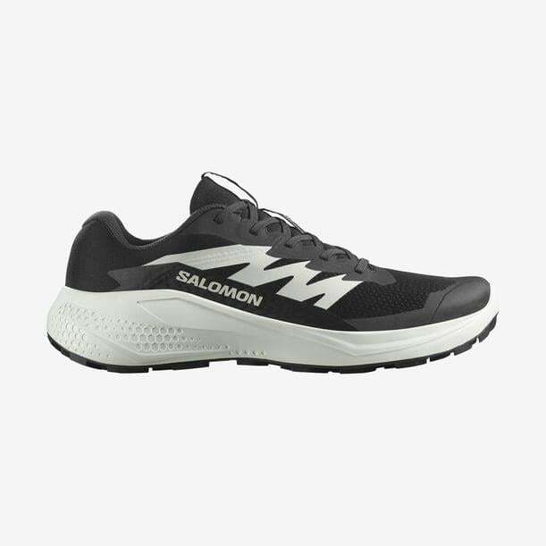 Salomon Alphaglide Erkek Koşu Ayakkabısı - 1