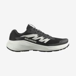 Salomon Alphaglide Erkek Koşu Ayakkabısı - 1