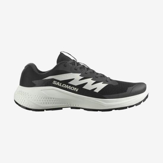 Salomon Alphaglide Erkek Koşu Ayakkabısı - 1