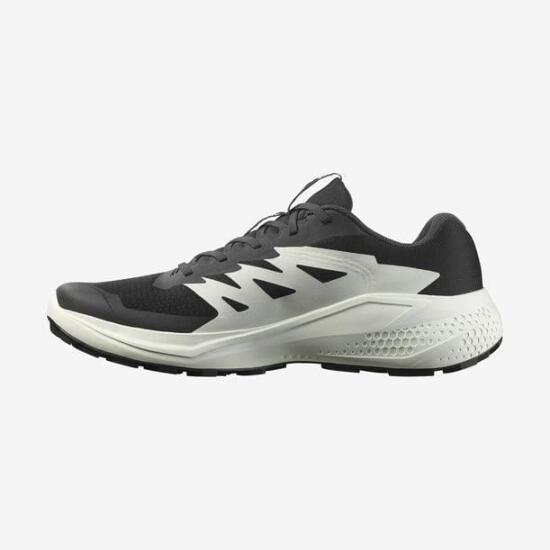 Salomon Alphaglide Erkek Koşu Ayakkabısı - 2