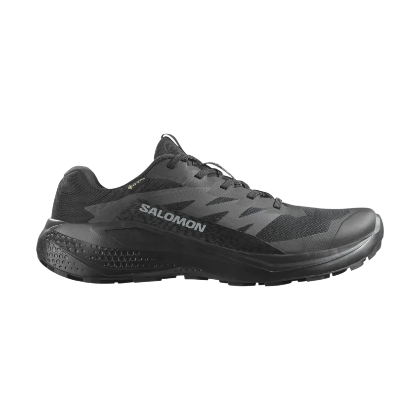 Salomon Alphaglide Gore-Tex Siyah Erkek Koşu Ayakkabısı - 1