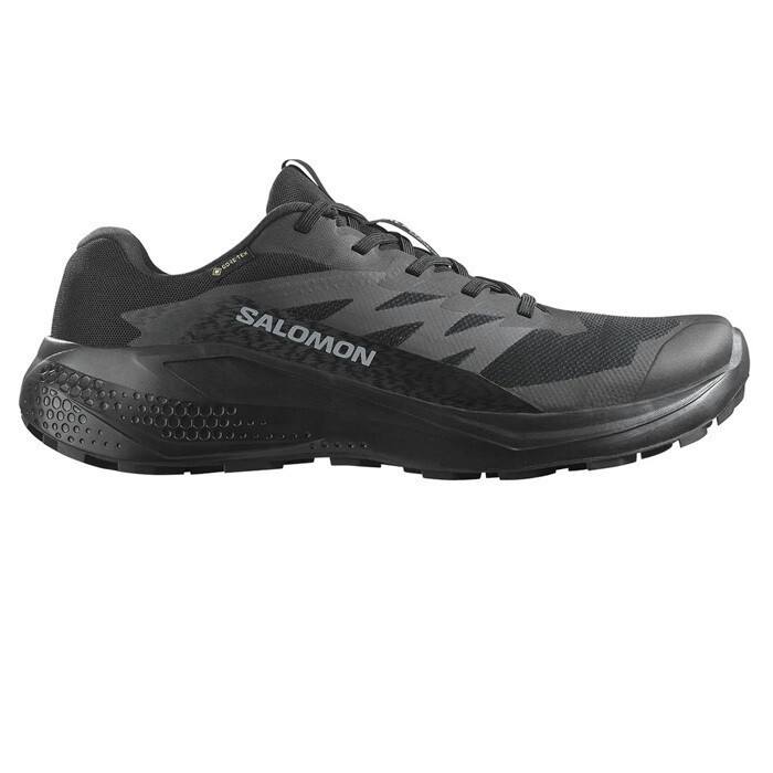 Salomon Alphaglide Gore-Tex Siyah Erkek Koşu Ayakkabısı - 1