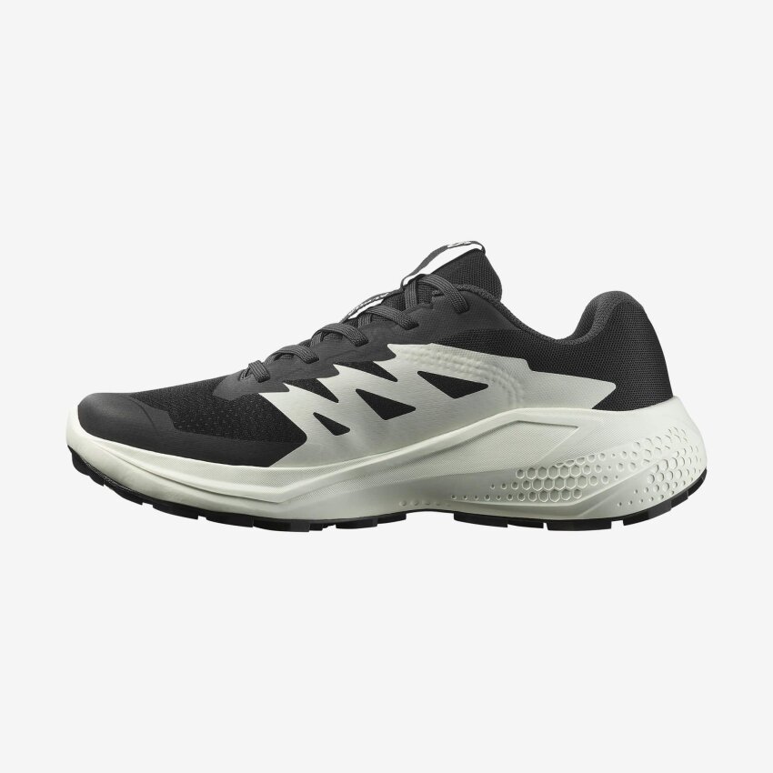 Salomon Alphaglide Siyah Kadın Koşu Ayakkabı - 2