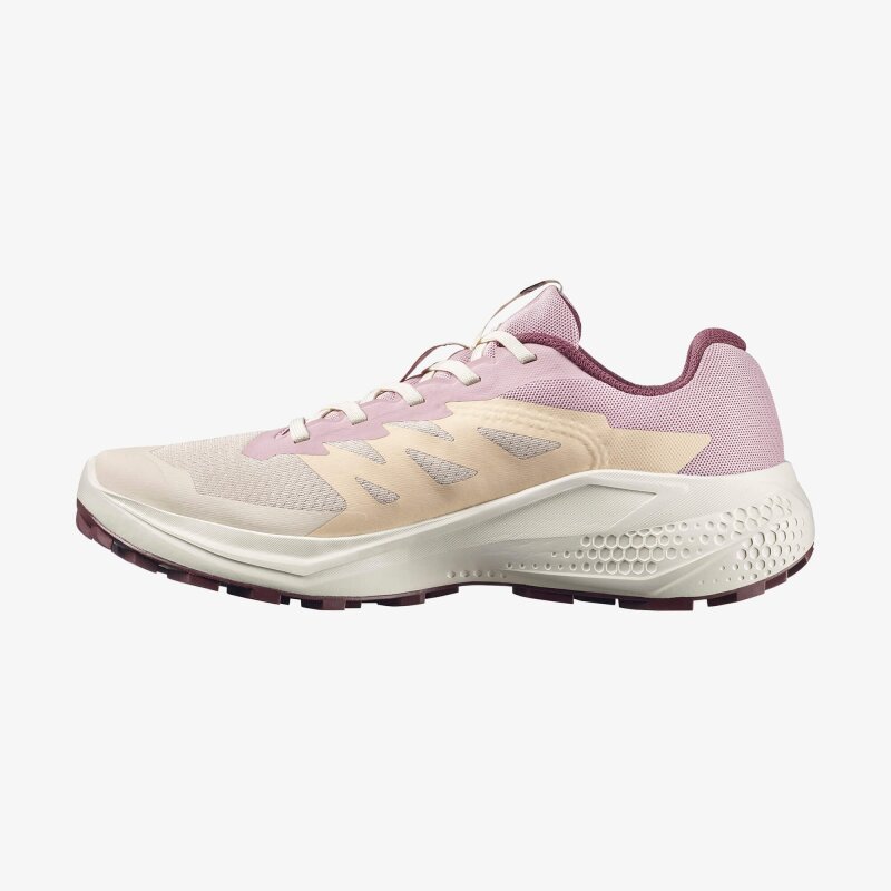 Salomon Alphaglide W Bej Kadın Koşu Ayakkabı - Salomon (1)